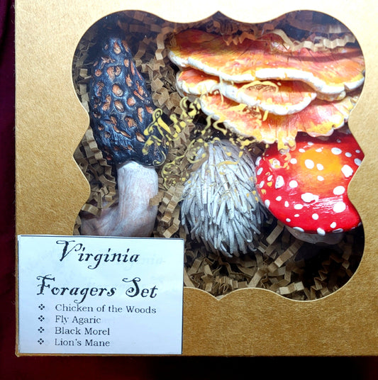 Virginia Foragers Mushroom Magnet Gift Set