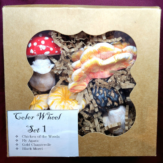 Color Wheel 1 Mushroom Magnet Gift Set