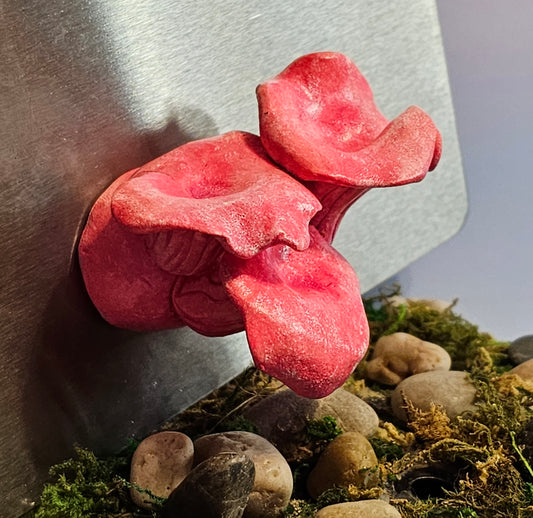 Pink Oyster Mushroom Magnet