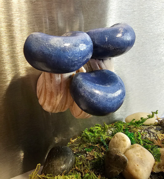 Oyster Blue Stocking Mushroom Magnet