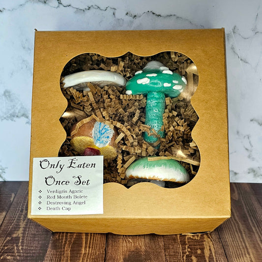 Only Eaten Once Mushroom Magnet Gift Set