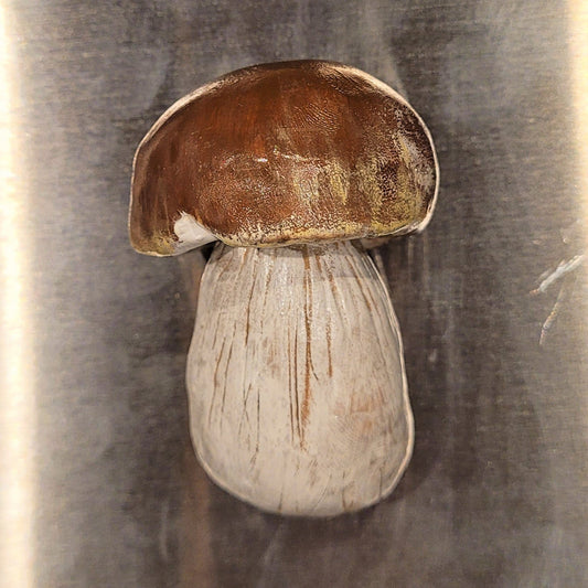 Porcine Mushroom Magnet