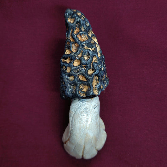 Black Morel Mushroom Magnet