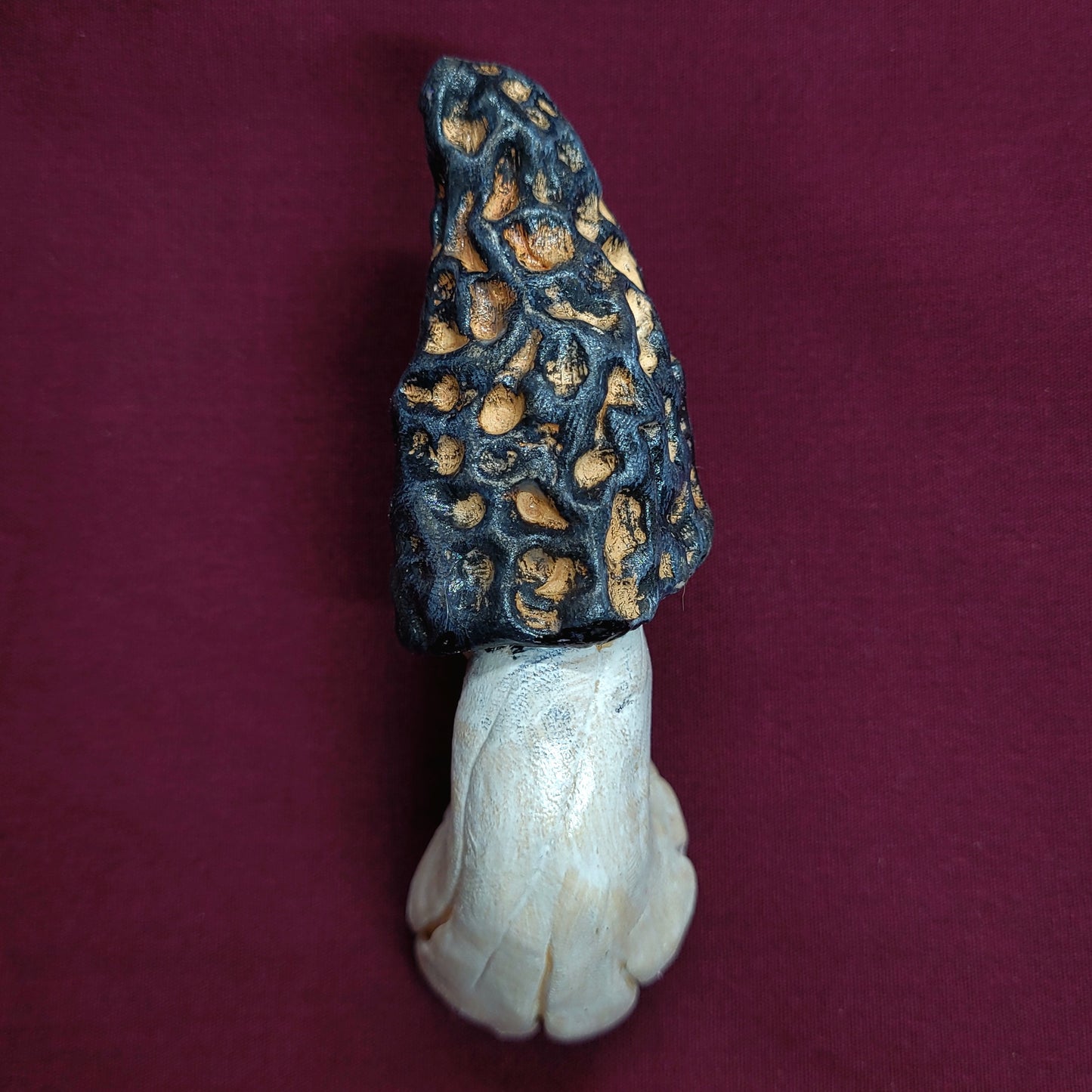 Virginia Foragers Mushroom Magnet Gift Set