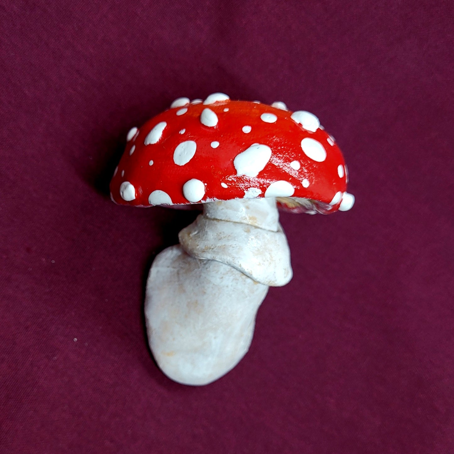 Virginia Foragers Mushroom Magnet Gift Set