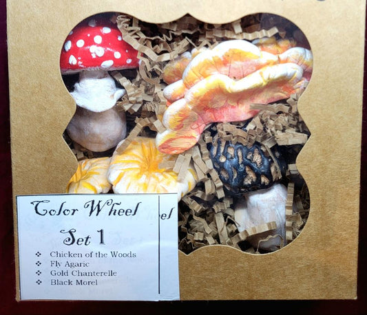 Color Wheel 1 Mushroom Magnet Gift Set