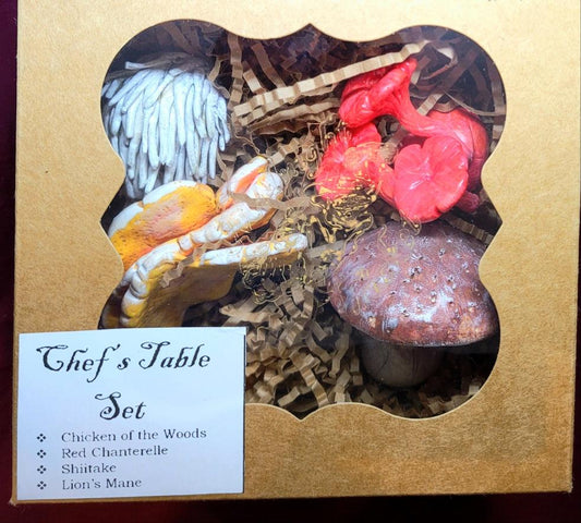 Chef's Table Mushroom Magnet Gift Set