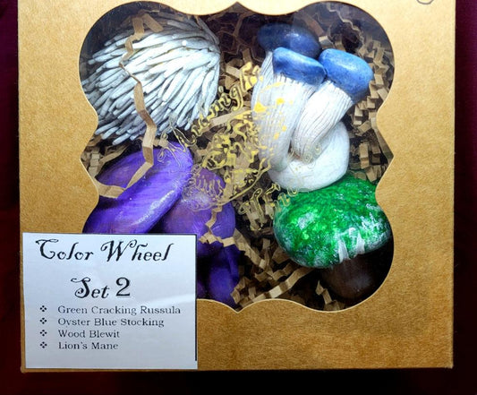 Color Wheel 2 Mushroom Magnet Gift Set