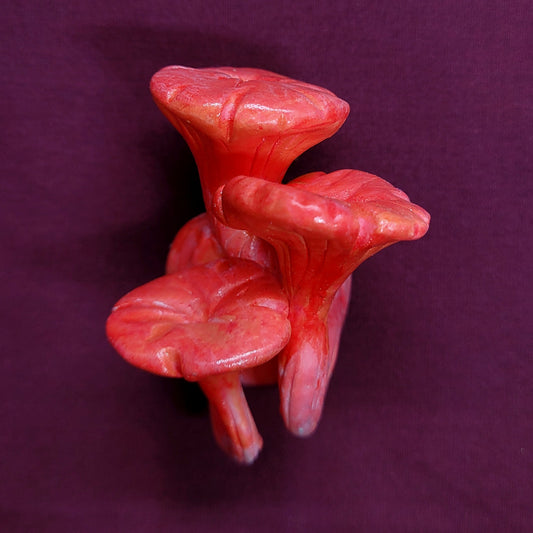 Red Cinnabar Chanterelle Mushroom Magnet