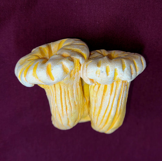 Gold Chanterelle Mushroom Magnet