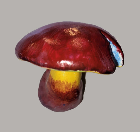 Two-colored Bolete Mushroom Magnet