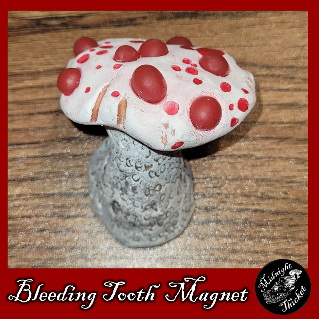 Spooky Season Mushroom Magnet Gift Set