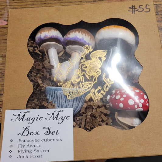 Magic Myc Mushroom Magnet Gift Set