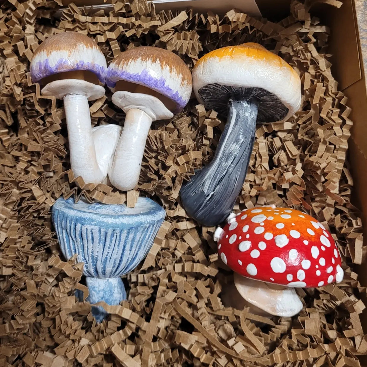 Magic Myc Mushroom Magnet Gift Set