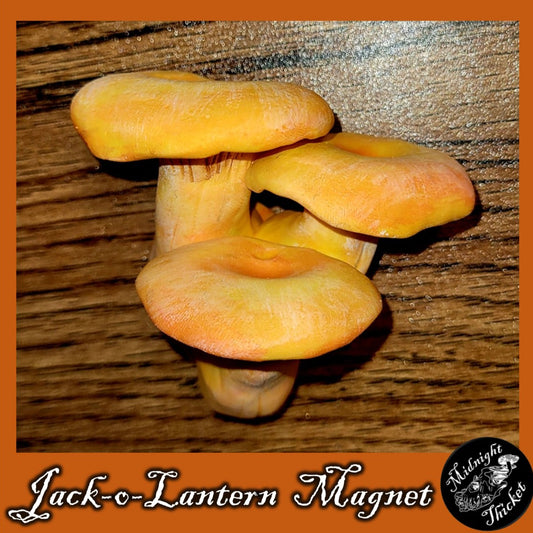 Jack-o-lantern Mushroom Magnet