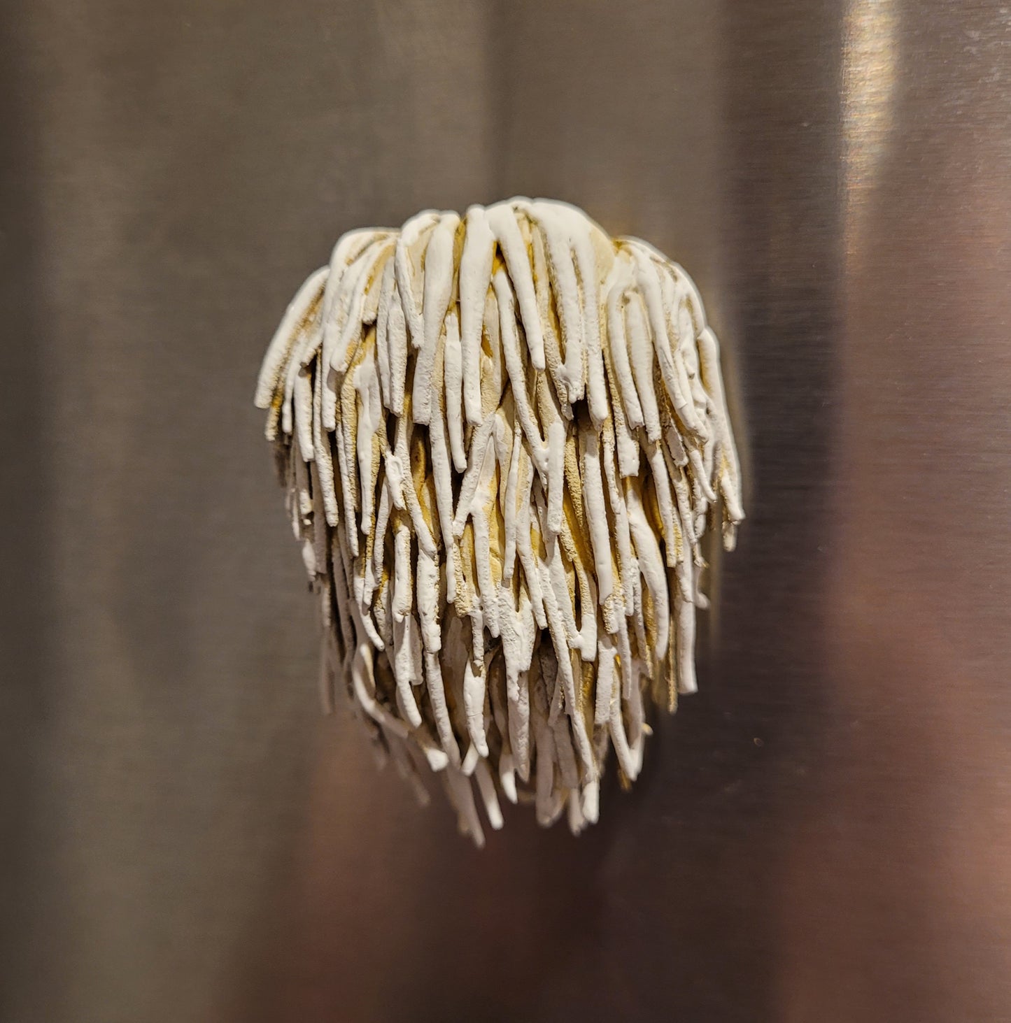 Chef's Table Mushroom Magnet Gift Set