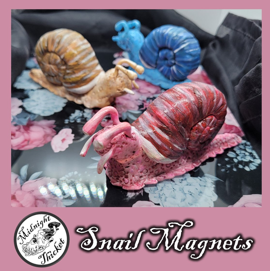 Snail Magnet