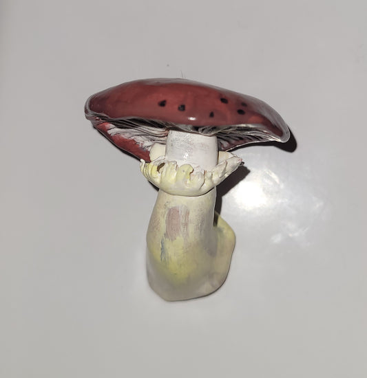Wine-cap Stropharia Mushroom Magnet