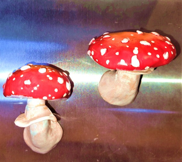 Fly Agaric Mushroom Magnet